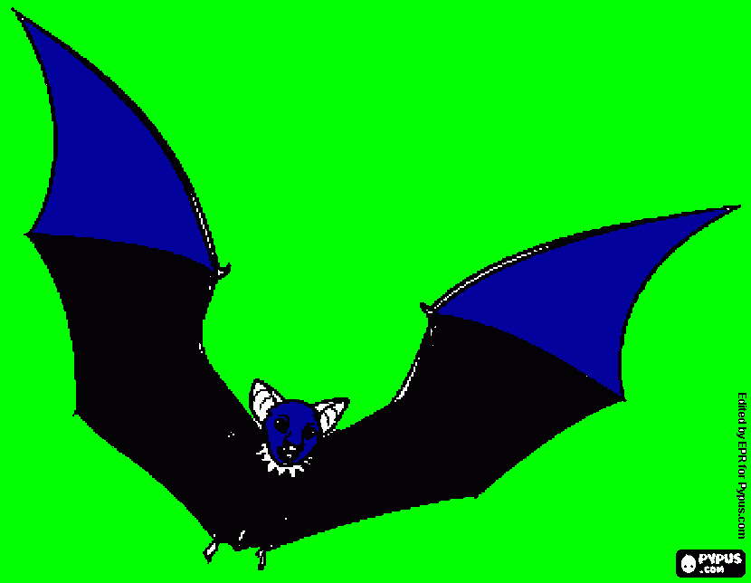 dessin Chauve-souris 
