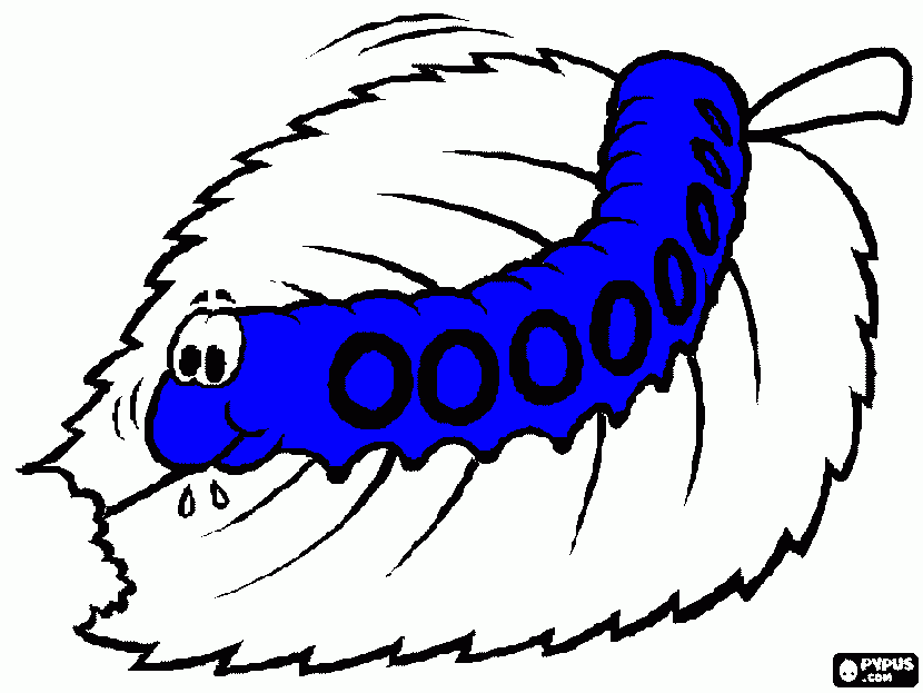 dessin chenille