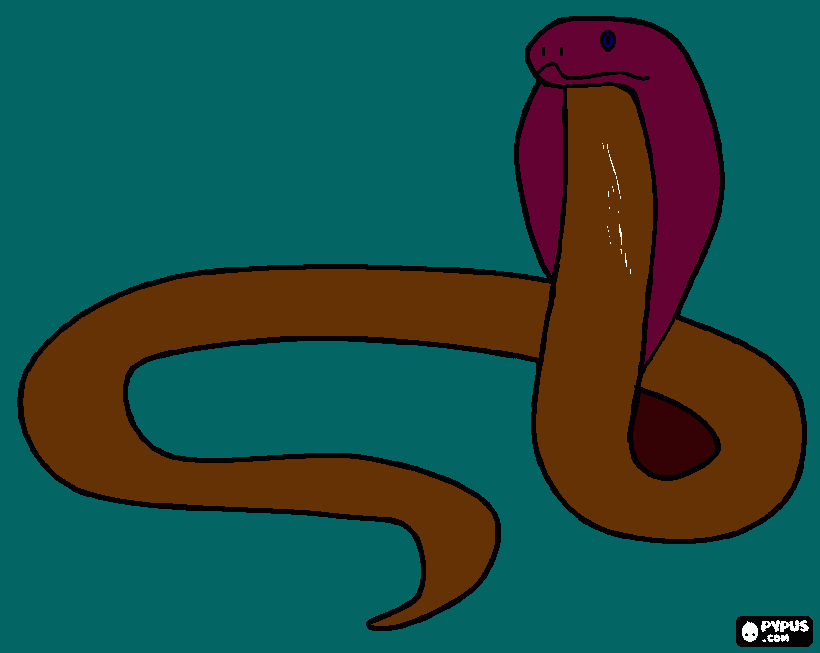 dessin cobra