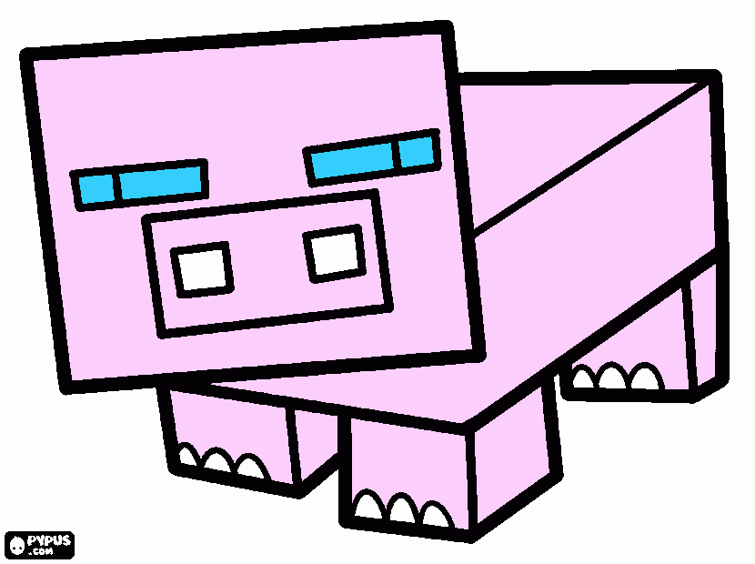 dessin cochon
