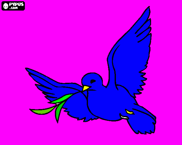 dessin colombe