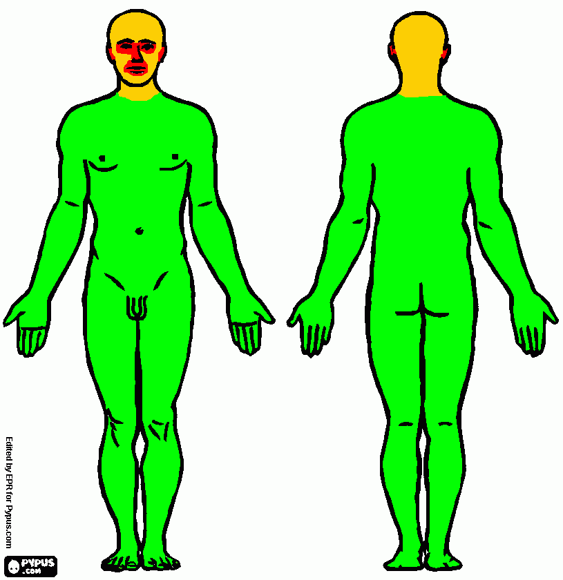 dessin corps