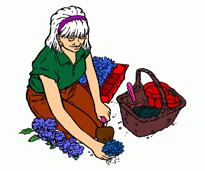dessin dessin allemand