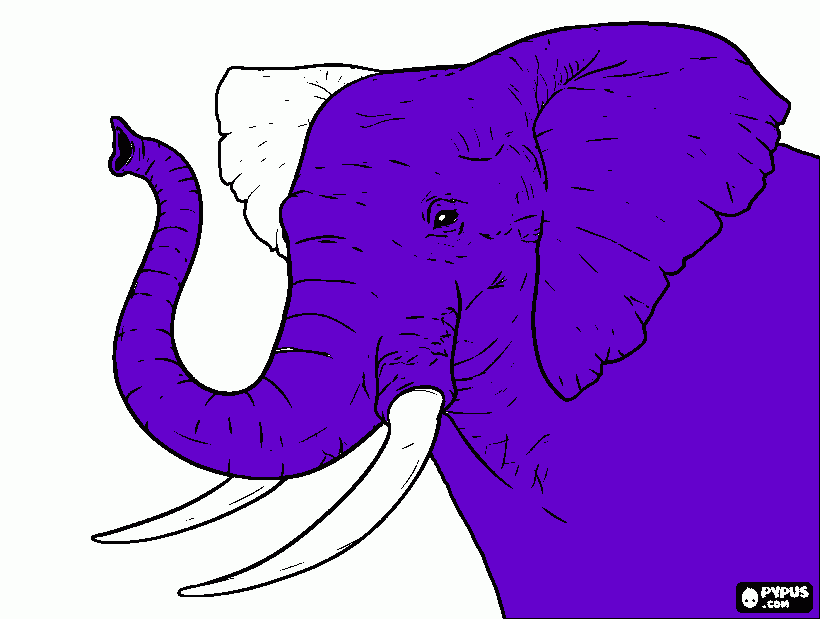 dessin enveloppe