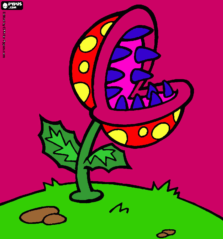 dessin fleur sauvage