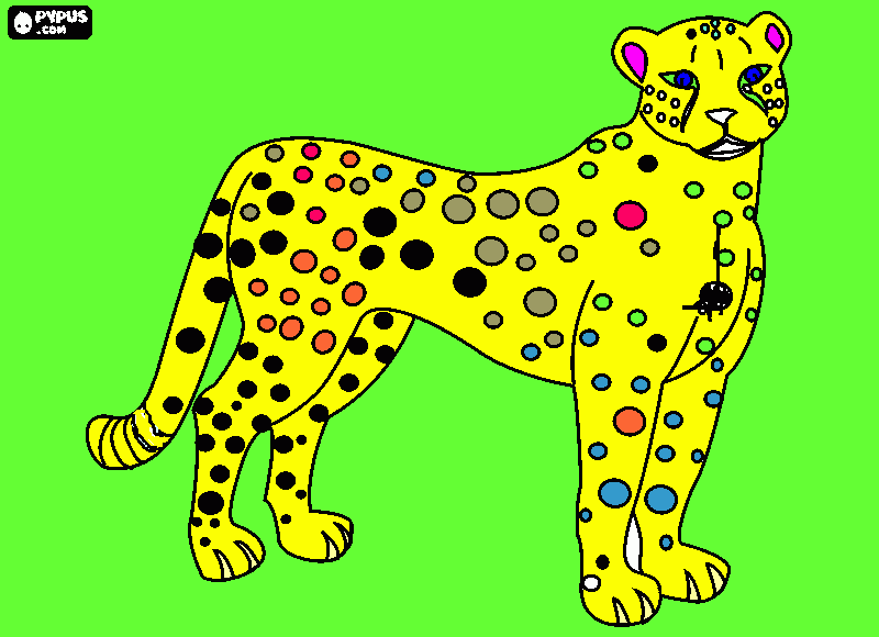 dessin guépard