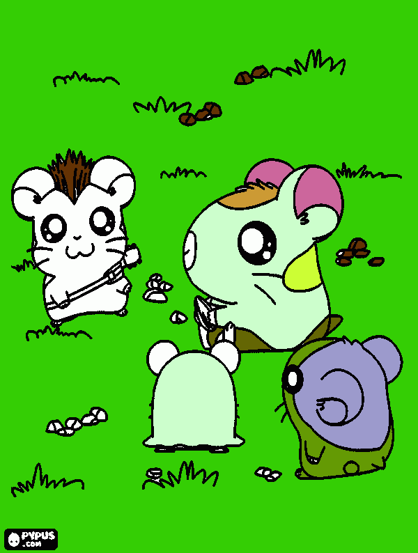 dessin ham ham 1