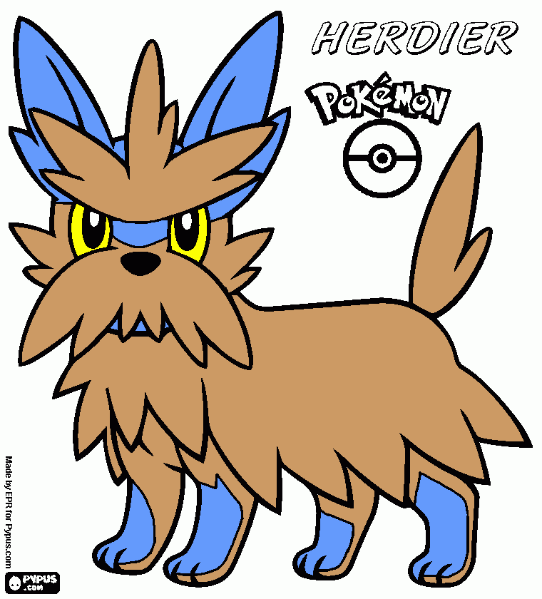 dessin herdier