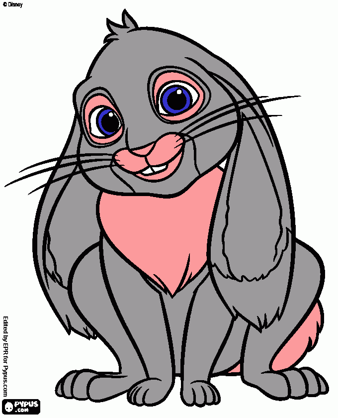 dessin lapin 1