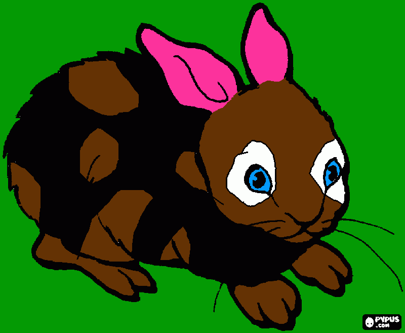 dessin lapin coquin