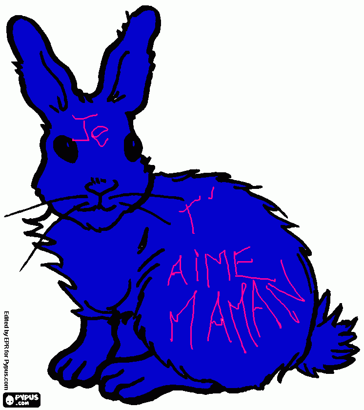 dessin lapin