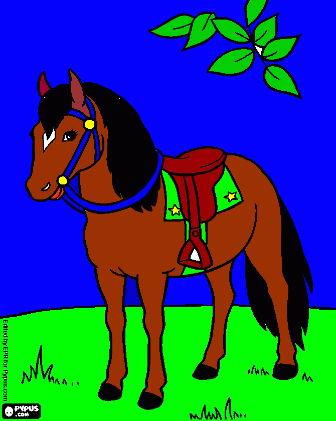 dessin Le cheval en paturage