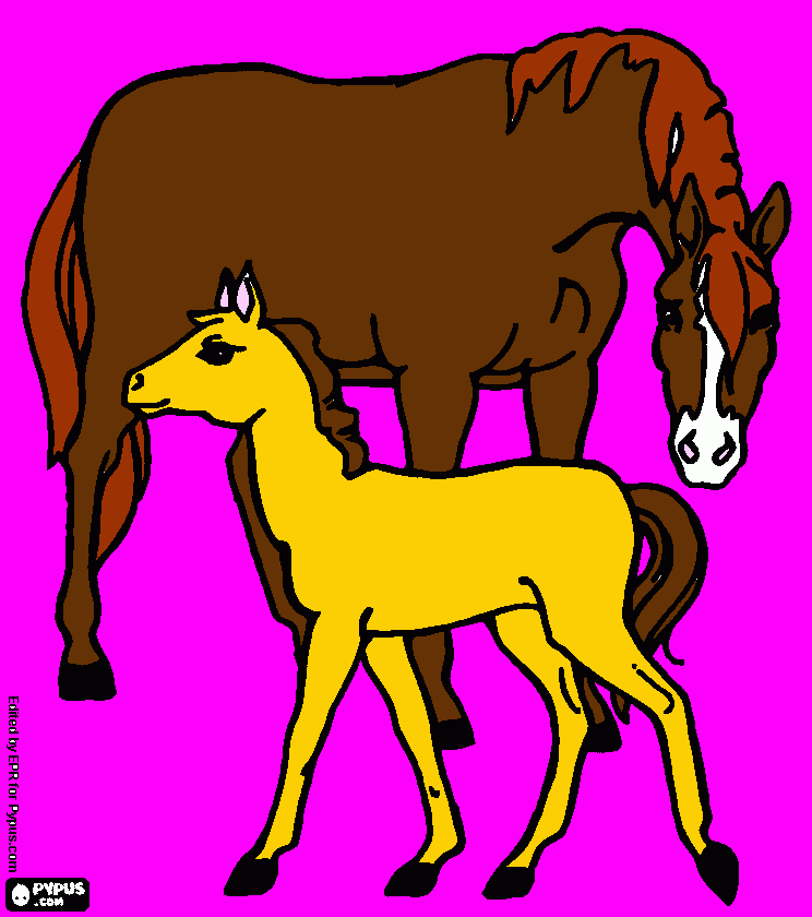 dessin le gros cheval c mami et le poulin c toi
