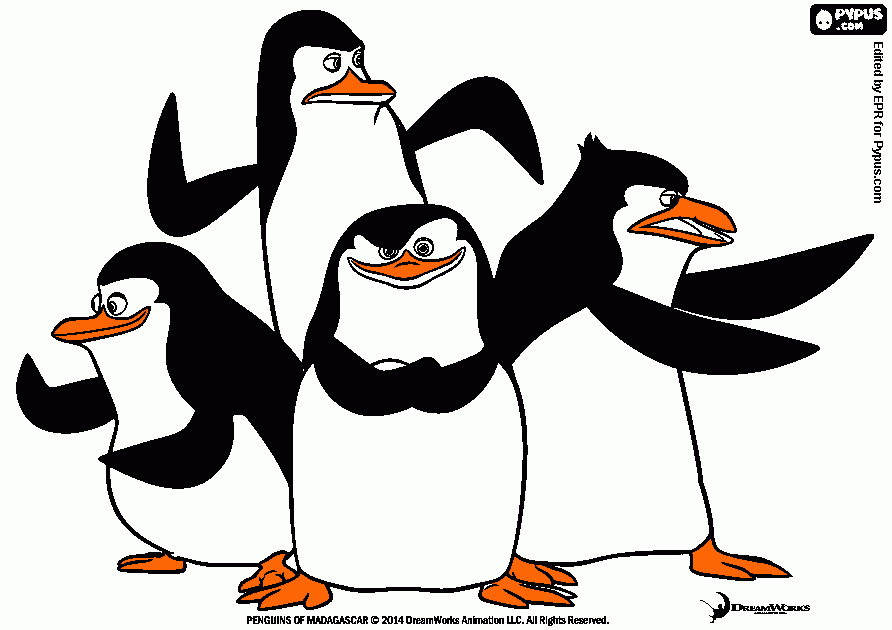 dessin les pingouins par DIEGO