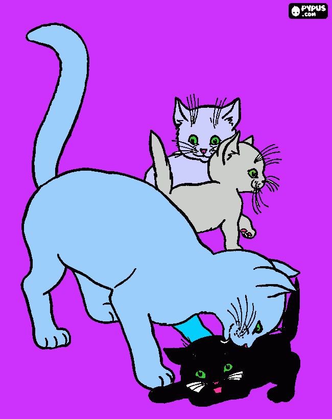 dessin lou chaton