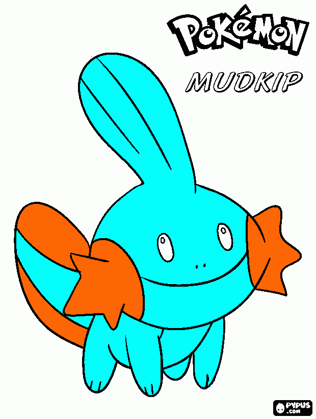 dessin mudkip