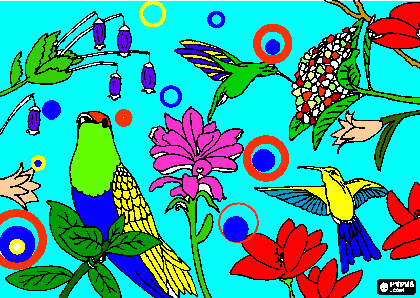 dessin mythiques colibris