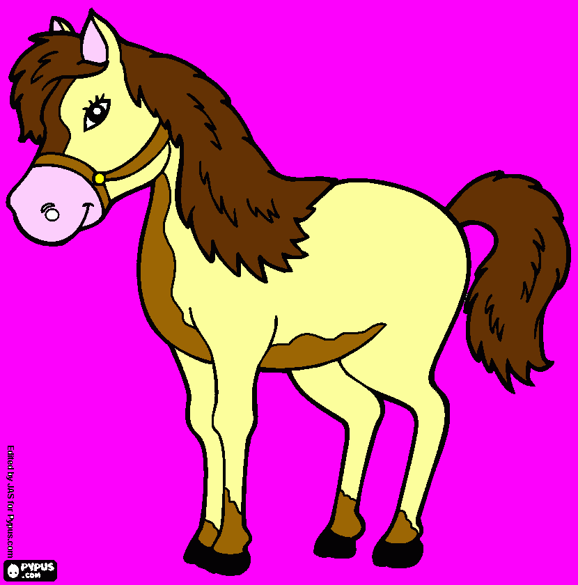 dessin nawel 974