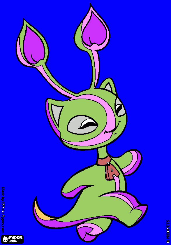 dessin neopets