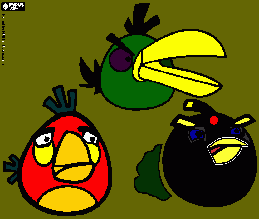 dessin oiseaux rares