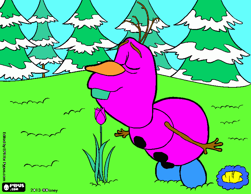 dessin olaf de swane