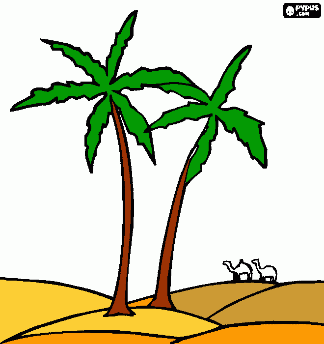 dessin palmiers