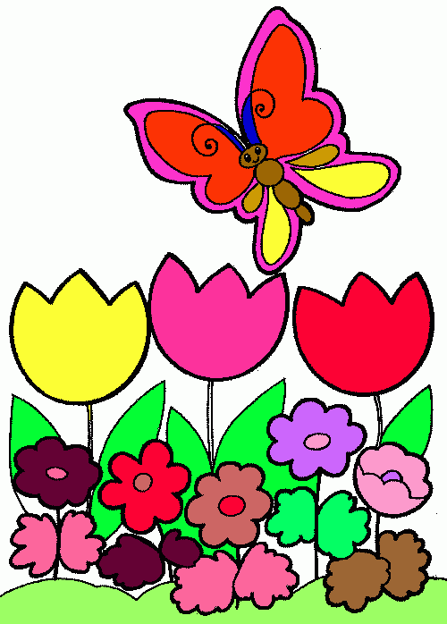dessin papillion
