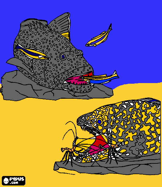dessin poisson pierre sardines dore