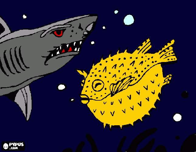 dessin requin poisson lune