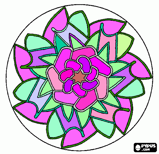 dessin rose en mandala