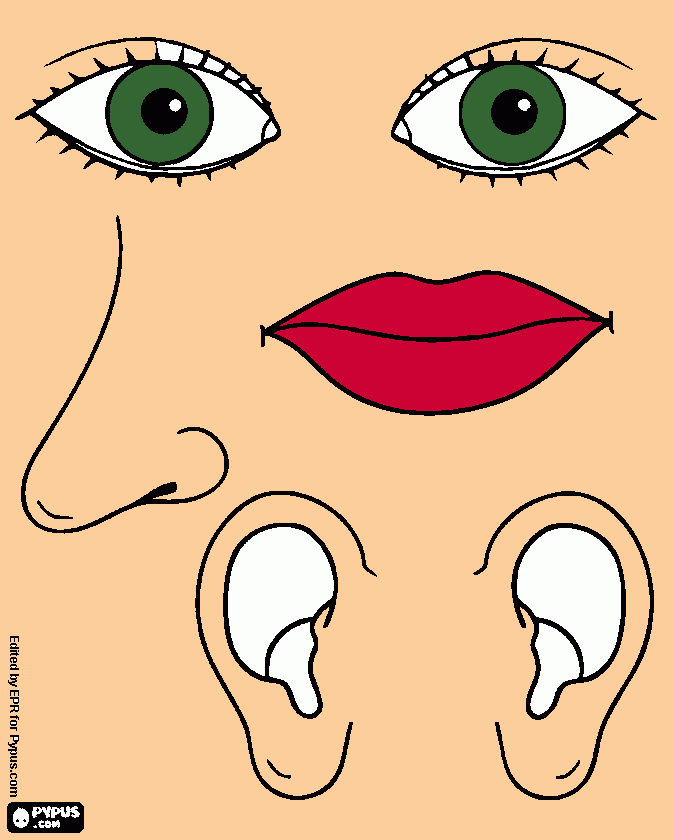dessin sens