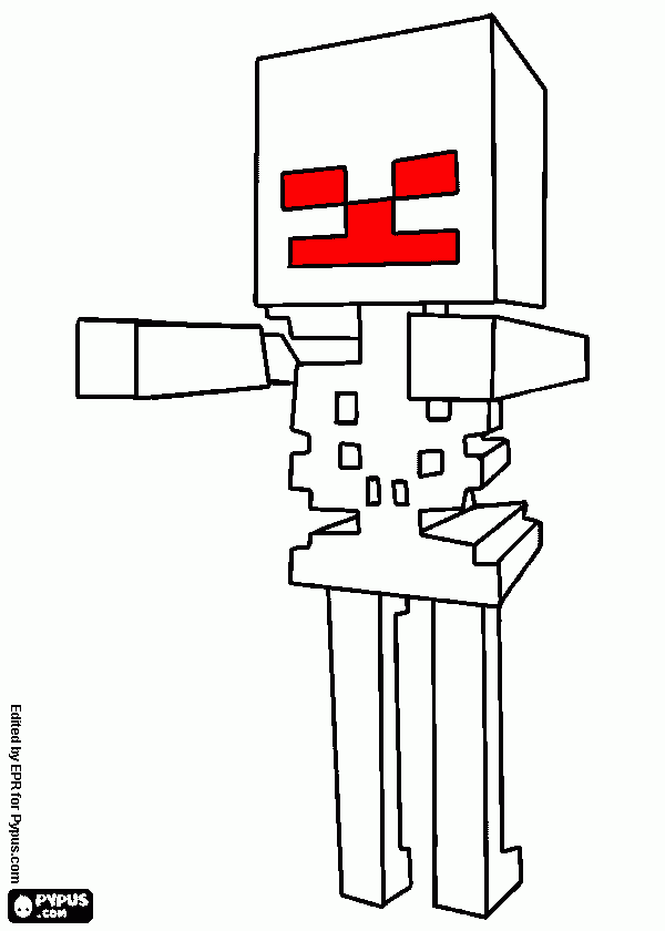 dessin sequellette
