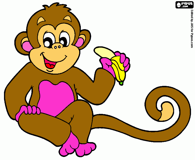 dessin singe