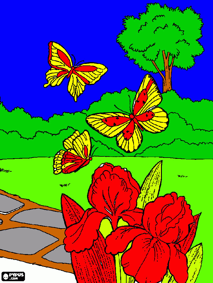 dessin trois papillons