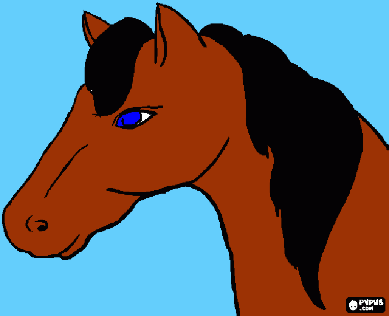 dessin Un cheval pour papou