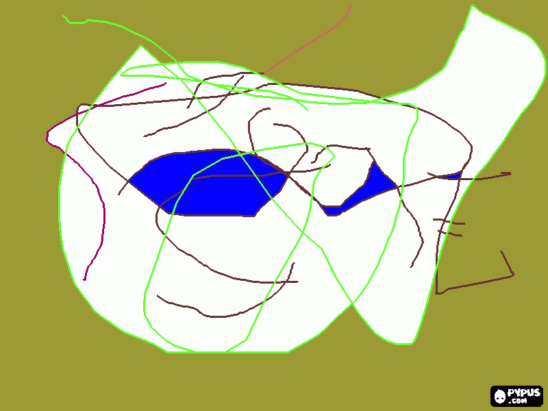 dessin un poisson d'apres jules 
