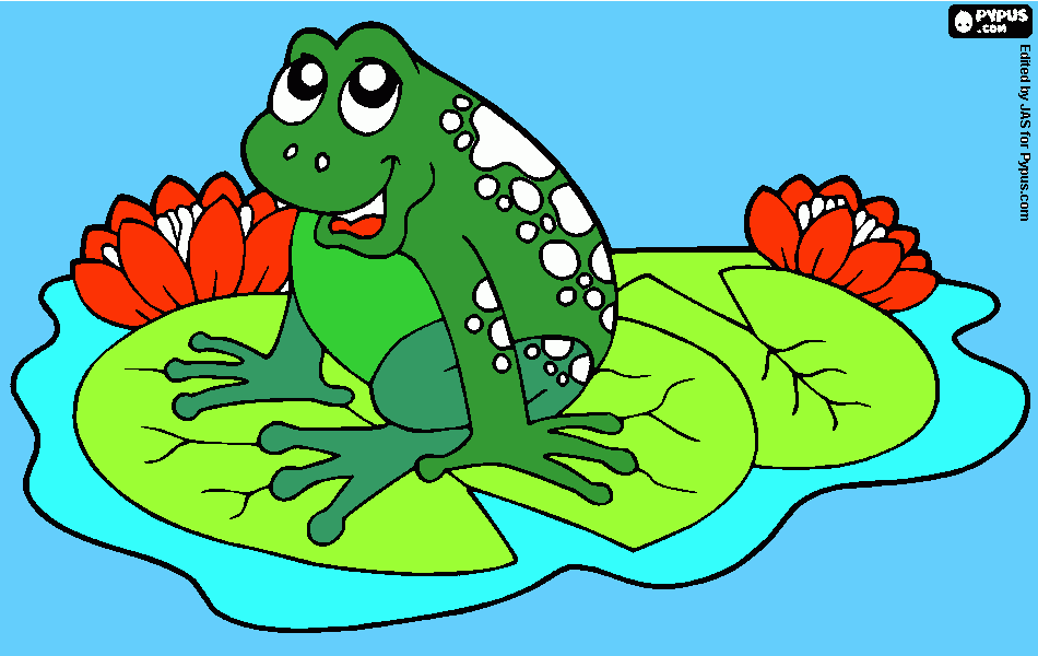 dessin une grenouille sur un nénuphar