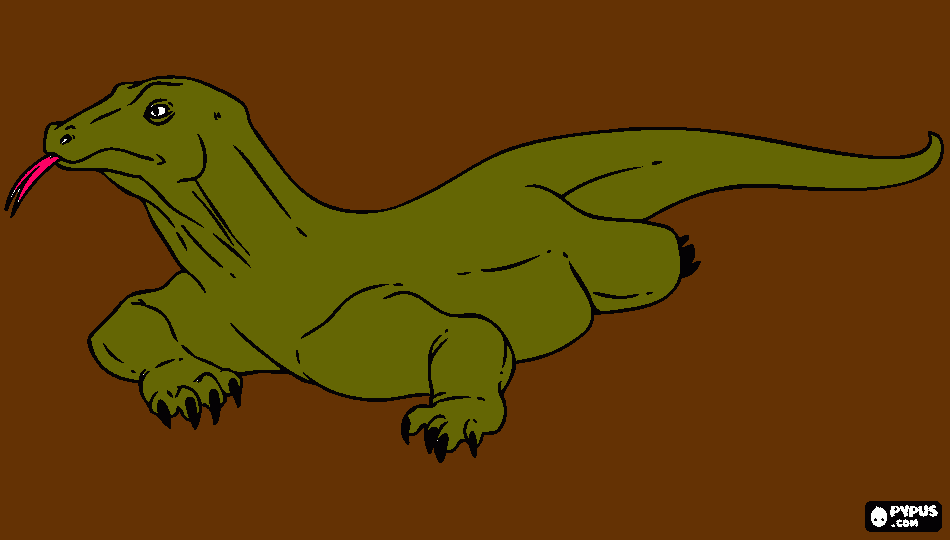 dessin varan de comodo