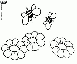 Coloriage Abeilles et fleurs, la production de miel