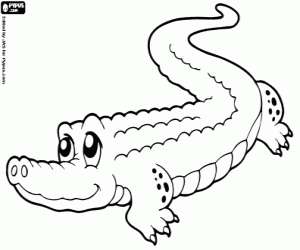 Coloriage Alligator