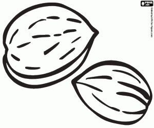 Coloriage Amandes, ingrédient culinaire