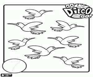 Coloriage Apprendre le numéro 7 avec oiseaux
