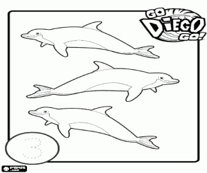Coloriage Apprendre à compter les trois dauphins
