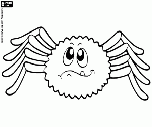 Coloriage Araignée du désert