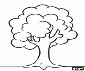 Coloriage Arbre simple