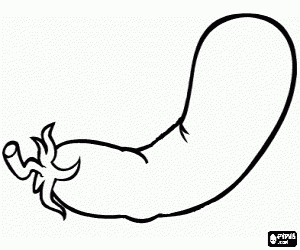 Coloriage Aubergine, un fruit comestible