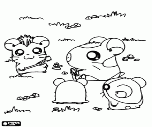 Coloriage Aventures de Hamtaro et Ham-Ham