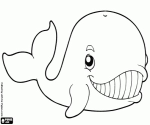 Coloriage Baleine