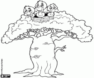 Coloriage Baobab