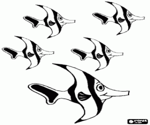 Coloriage Beaucoup de poissons et de récifs de corail